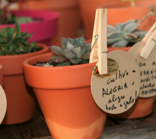 Presentes verdes e DIY para este Natal