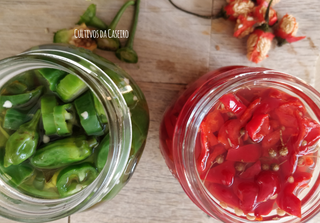 Pickles de malagueta e pimento padron