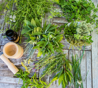 Ervas Aromáticas: Efeitos e utilizações!