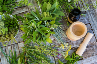 Como aliviar a gripe com ervas aromáticas!