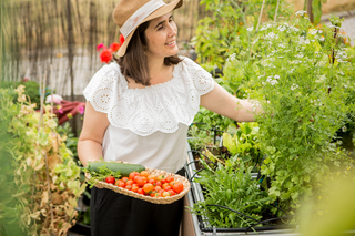 Cultivar tomate a partir de sementes - em 7 passos!