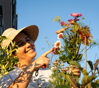 5 Flores para plantar na Horta