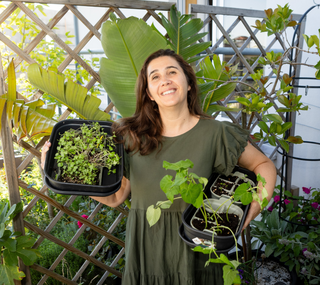 Horta de Outono: plantar agora para colher no outono