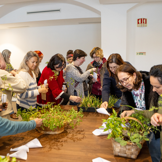 Bilhete evento presencial - PLANTO TERAPIA 2026