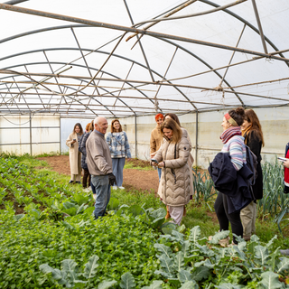 Bilhete evento presencial - PLANTO TERAPIA 2026