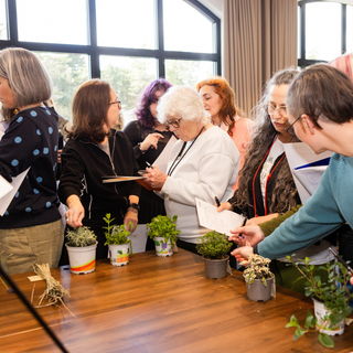 Bilhete evento presencial - PLANTO TERAPIA 2026