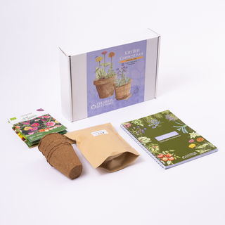 Box Jardim Comestível Primavera-Verão Acelgas, Feijão-Verde e Companhia