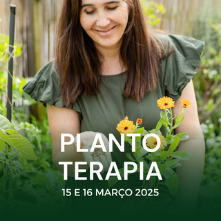 Bilhete evento presencial - PLANTO TERAPIA 2025