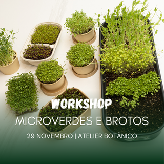 Workshop Microverdes e Brotos