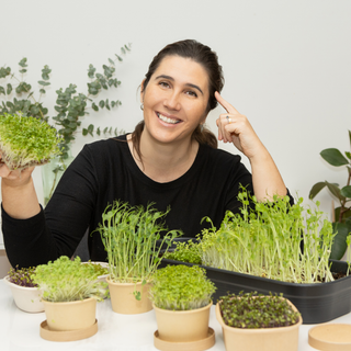 Workshop Microverdes e Brotos