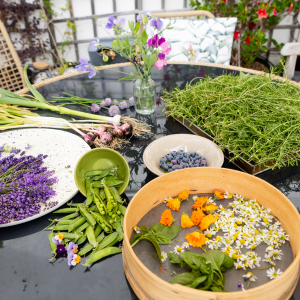 Webinar Colher e Secar Aromáticas e Medicinais