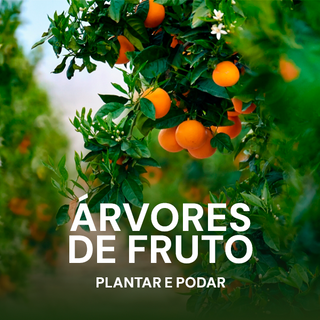 Curso Árvores de Fruto – Plantar e Podar