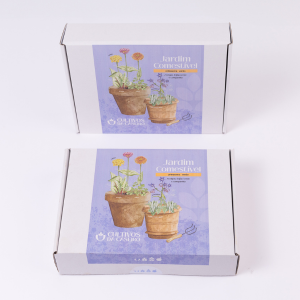 Box Jardim Comestível Primavera-Verão Acelgas, Feijão-Verde e Companhia