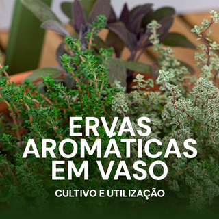 Curso Ervas Aromáticas em Vaso – Cultivo e Utilização