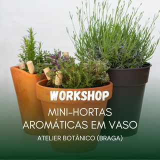 Mini-Hortas Aromaticas em Vaso