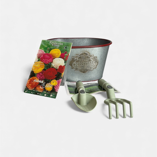 bulbos-ranunculus-anemonas-floreira-zinco-ferramentas