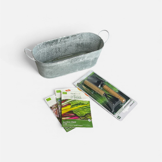 floreira-zinco-mini-ferramentas-sementes-variadas