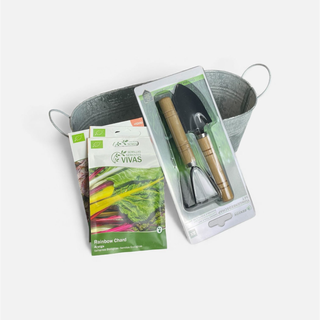 kit-iniciantes-jardinagem-horta-casa