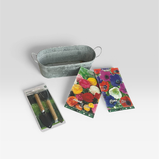 kit-jardinagem-floreira-e-bulbos-decorativo.