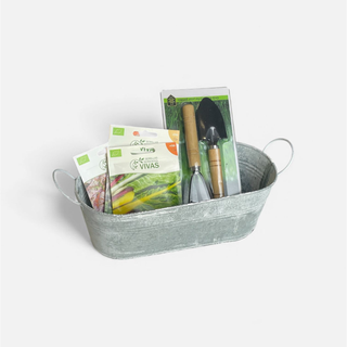 kit-jardinagem-floreira-ferramentas-sementes