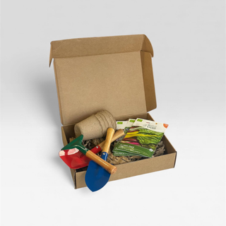 kit-jardinagem-infantil-vasos-sementes-ferramentas