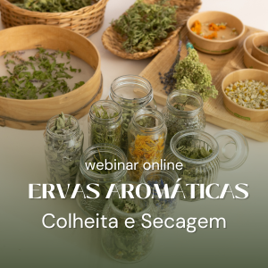 Webinar Colher e Secar Aromáticas e Medicinais