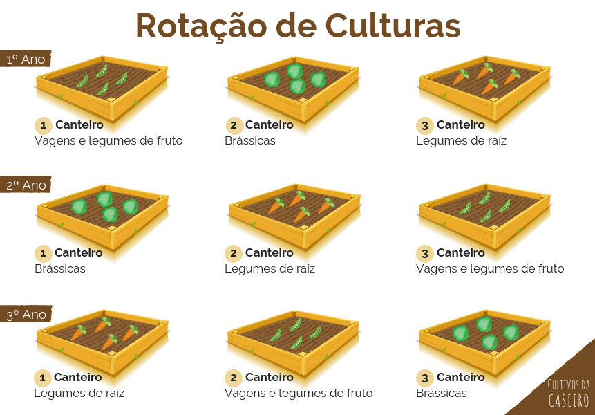 rotação de culturas