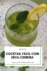 Cocktail fácil com Erva-cidreira